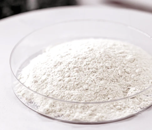 NiteHush Pro Ingredient Serratiopeptidase